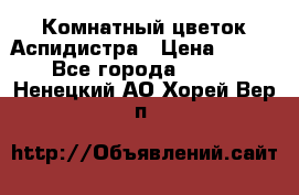 Комнатный цветок Аспидистра › Цена ­ 150 - Все города  »    . Ненецкий АО,Хорей-Вер п.